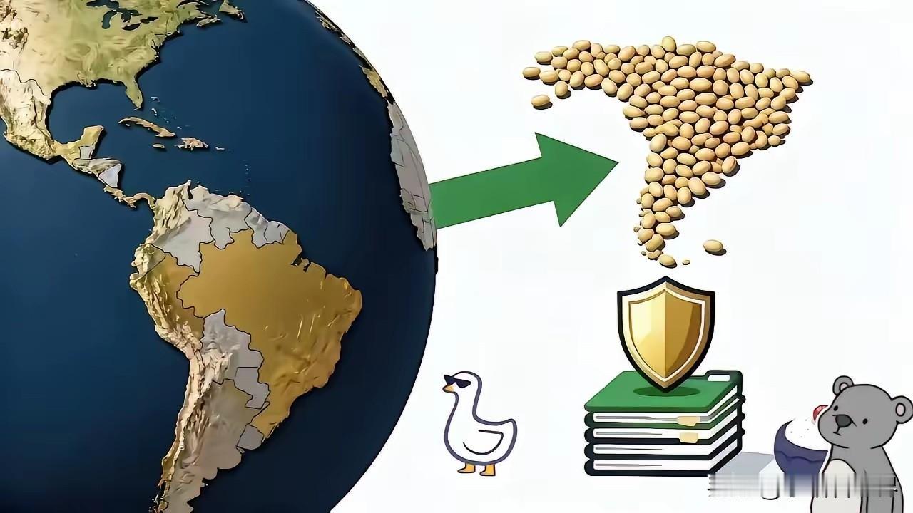 果然被我猜中了！
巴西突然宣布了！
巴西大豆近期从580美元/吨涨至650美元/