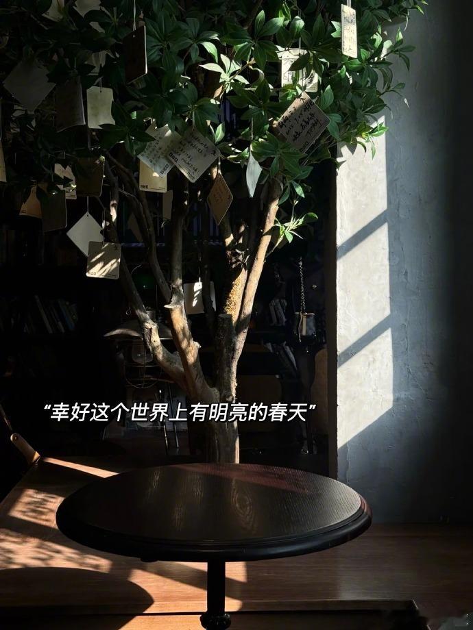 四月是一场拥挤的新绿四月生活我的日常生活需要分享欲