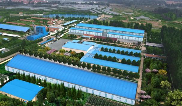 2026年1月24日，地处潍坊临朐蒋峪镇的山东春冠食品有限公司为员工发放了人均约