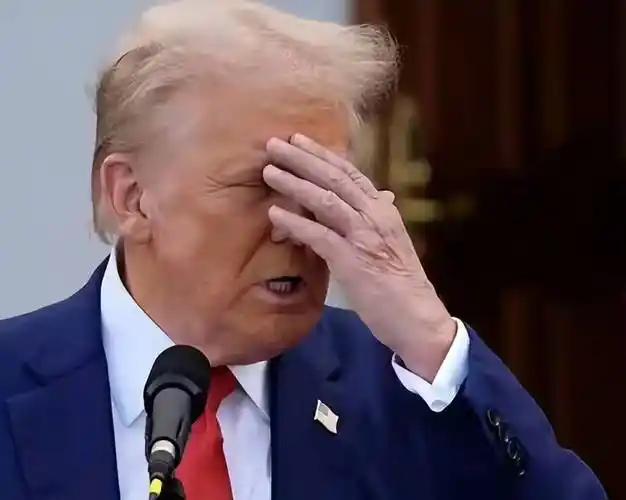 特朗普就是这个世界的喜剧，闹剧，悲剧……伊斯兰的追杀令已经在路上了。特朗普称，美