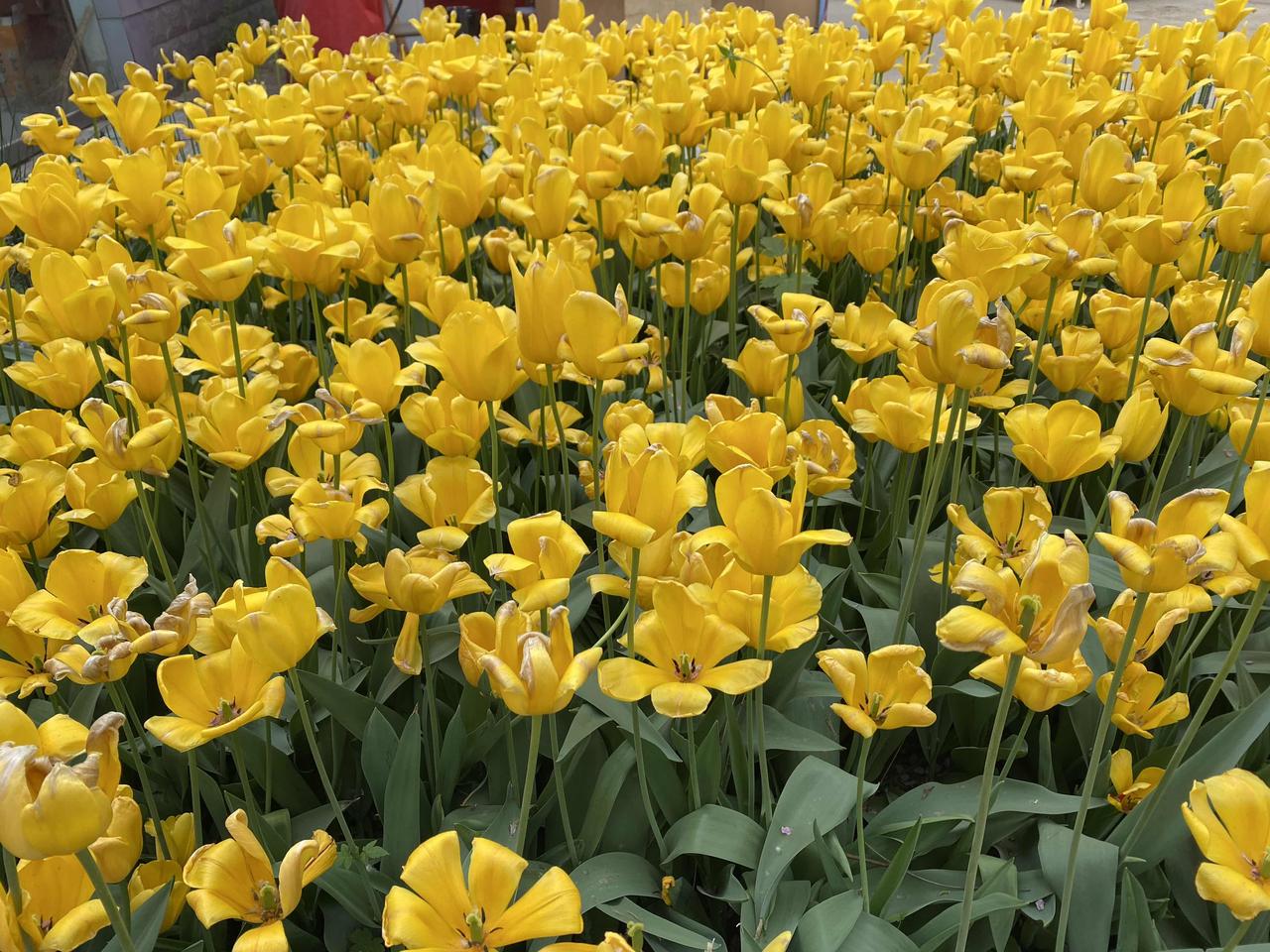 穷，可以让一个人卑微到什么地步？

穷，能让一个父亲在菜市场为省两块钱跟人磨半小