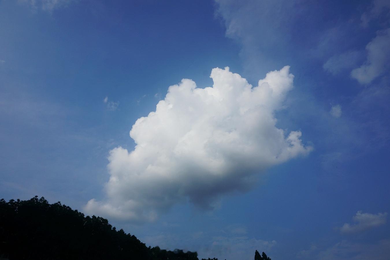 美在金陵 台风季，天上云彩多变。从没看过同样的云，云朵自由自在，随风飘荡，洁白如