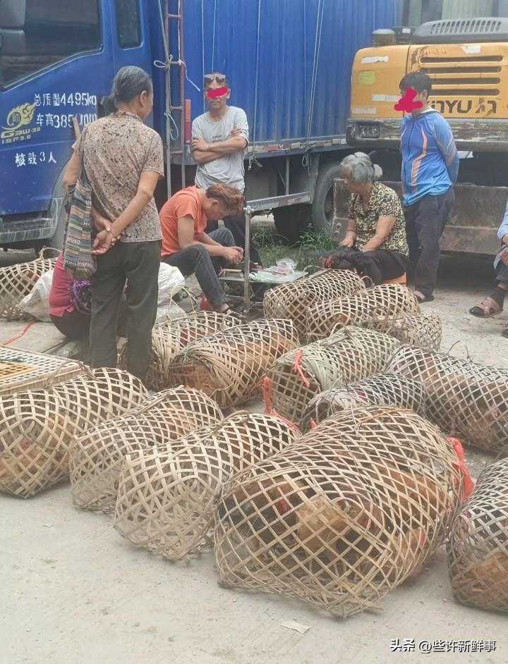 在两广掌握这门手艺就不怕没有饭吃
尤其是在乡镇，靠着这门手艺养家糊口。靠手艺吃饭