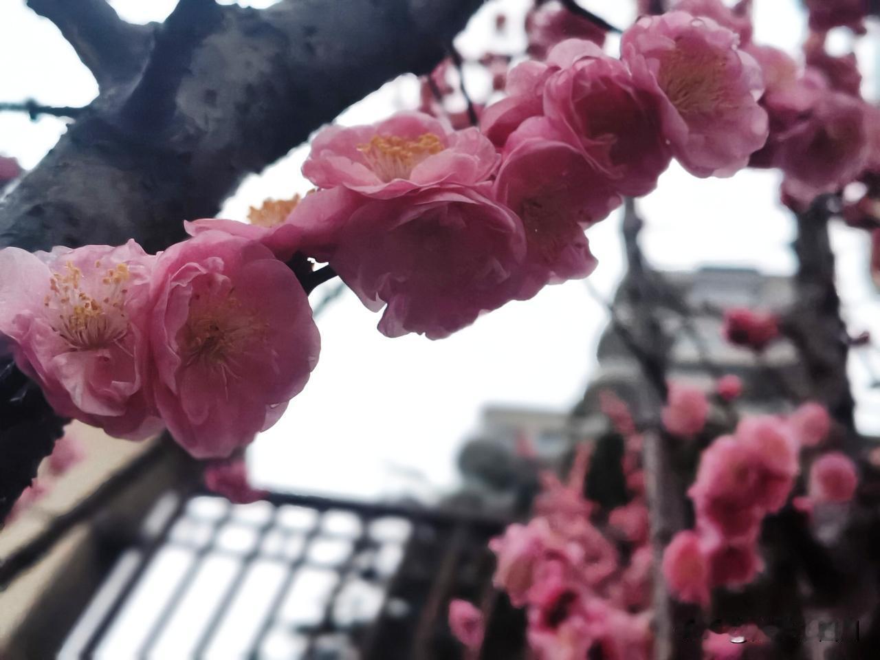 厨房的烟火里，藏着父亲最深的温柔
 
推开那扇熟悉的木门时，林燕的手心全是汗。