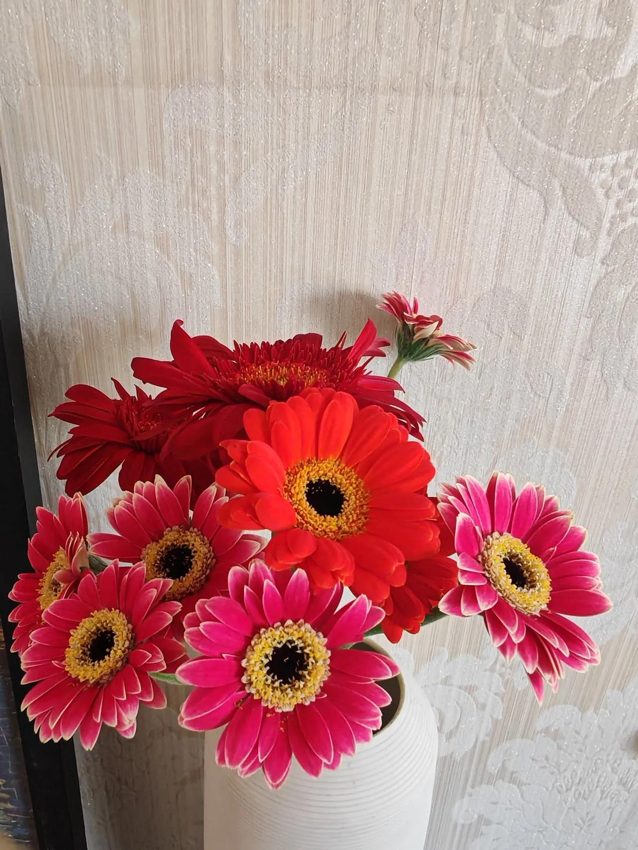 这束鲜花是在朴朴上三块七毛六买的，价格便宜，但是花的品相不太好，花朵太小了。

