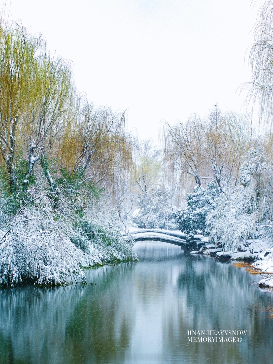 每每下雪时，我就会奔去大明湖………大明湖，就是济南人的Central Park，