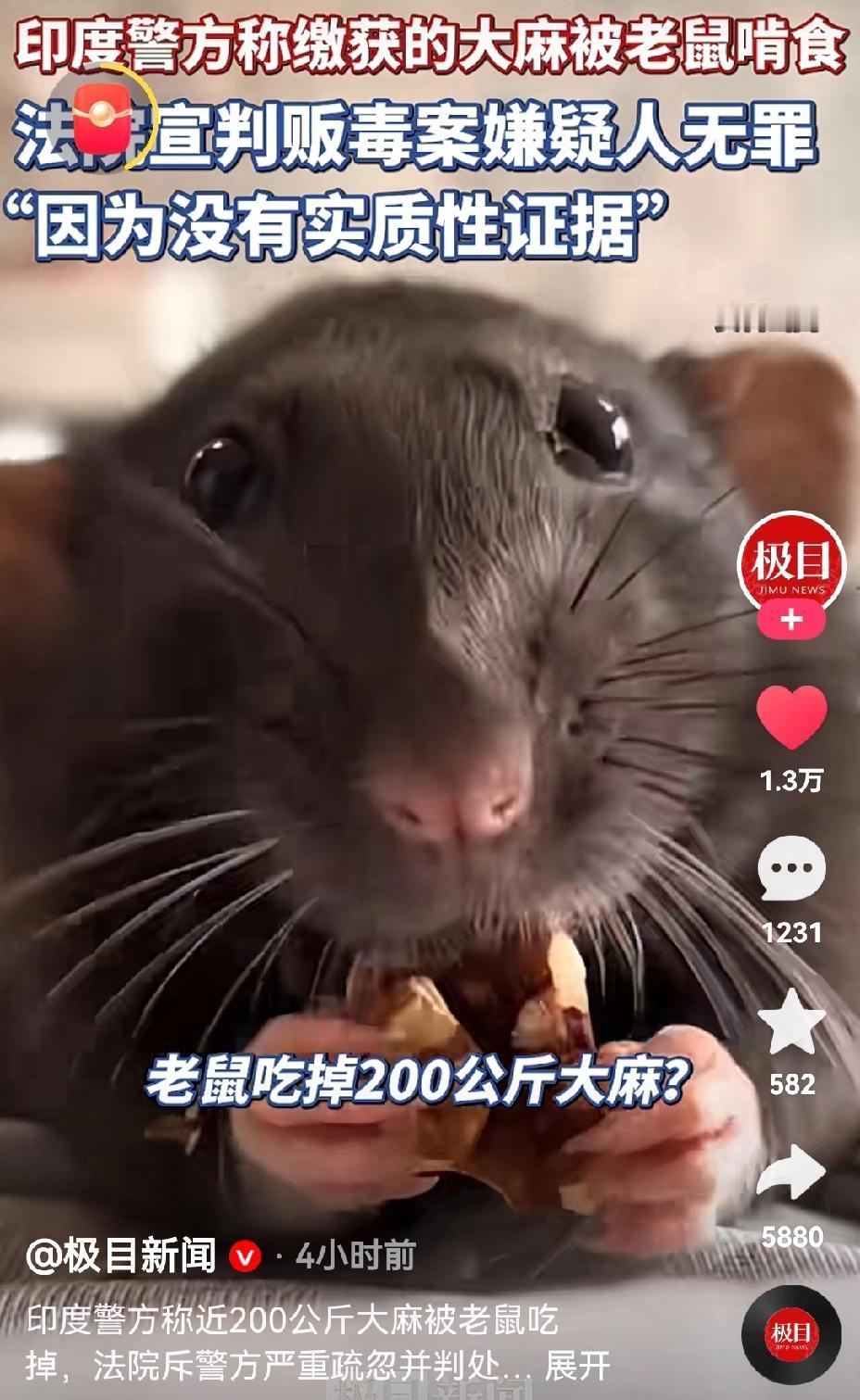 [吃瓜群众]3️⃣哥果然是“及时雨”，解决了“跨年全是演唱会，没有相声小品”的结