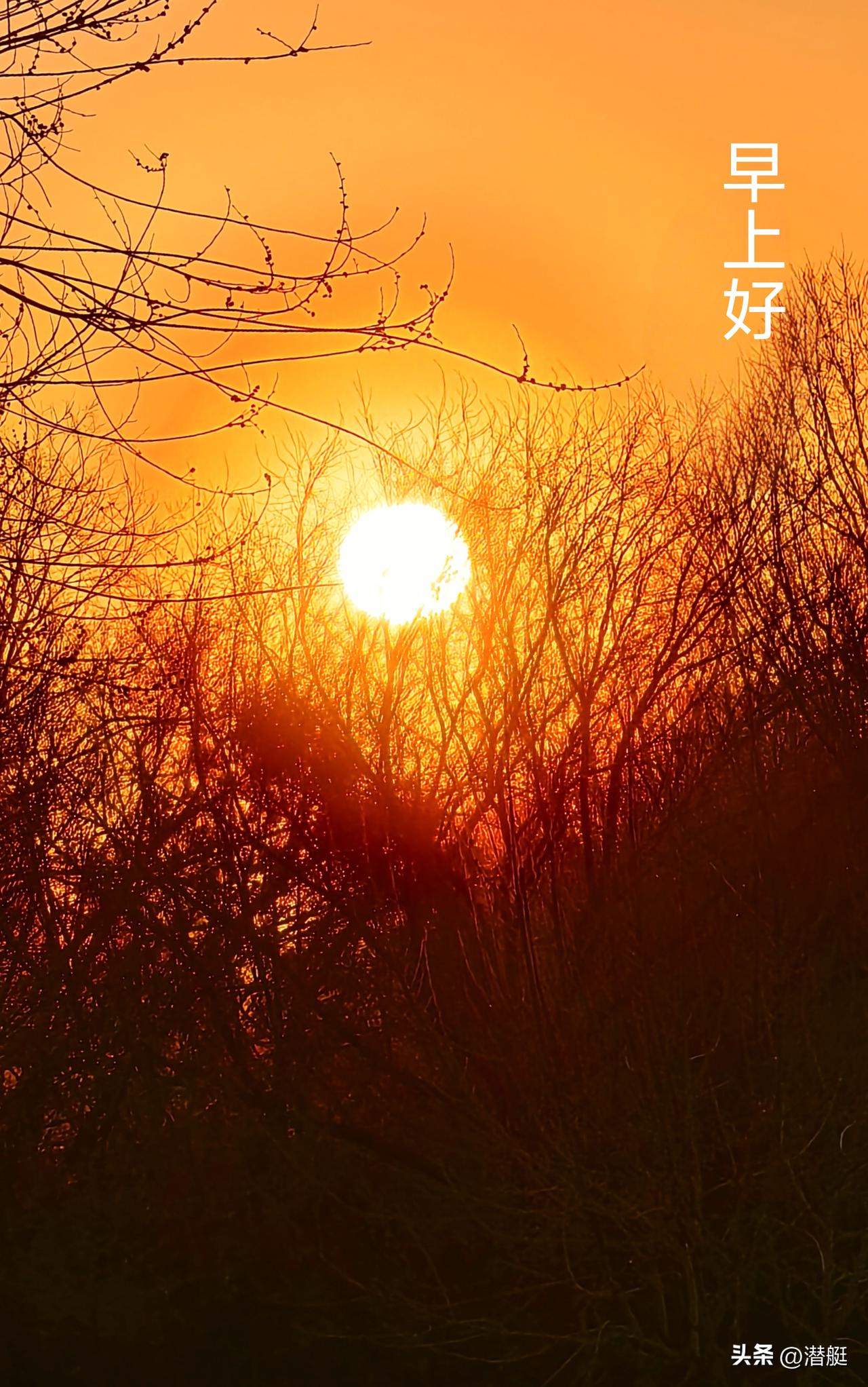 分享一张最近随手拍的照片日出东方红似火晨练随手拍的照片！