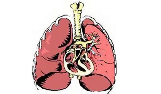 肺纤维化怎么办？这5点要知道1.做肺康复锻炼，这样可以更好的满足我们的日常需求，