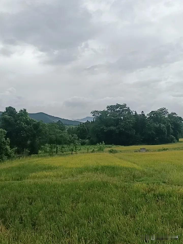不用赶时间，不用想烦心事，抬头就是山和田野，日子慢悠悠的刚刚好。
能否分享一下你