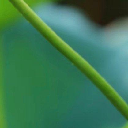 每日一善每日一善 幸运，从不是偶然降临，每一步都有意义，你所做的每件事，都孕育着