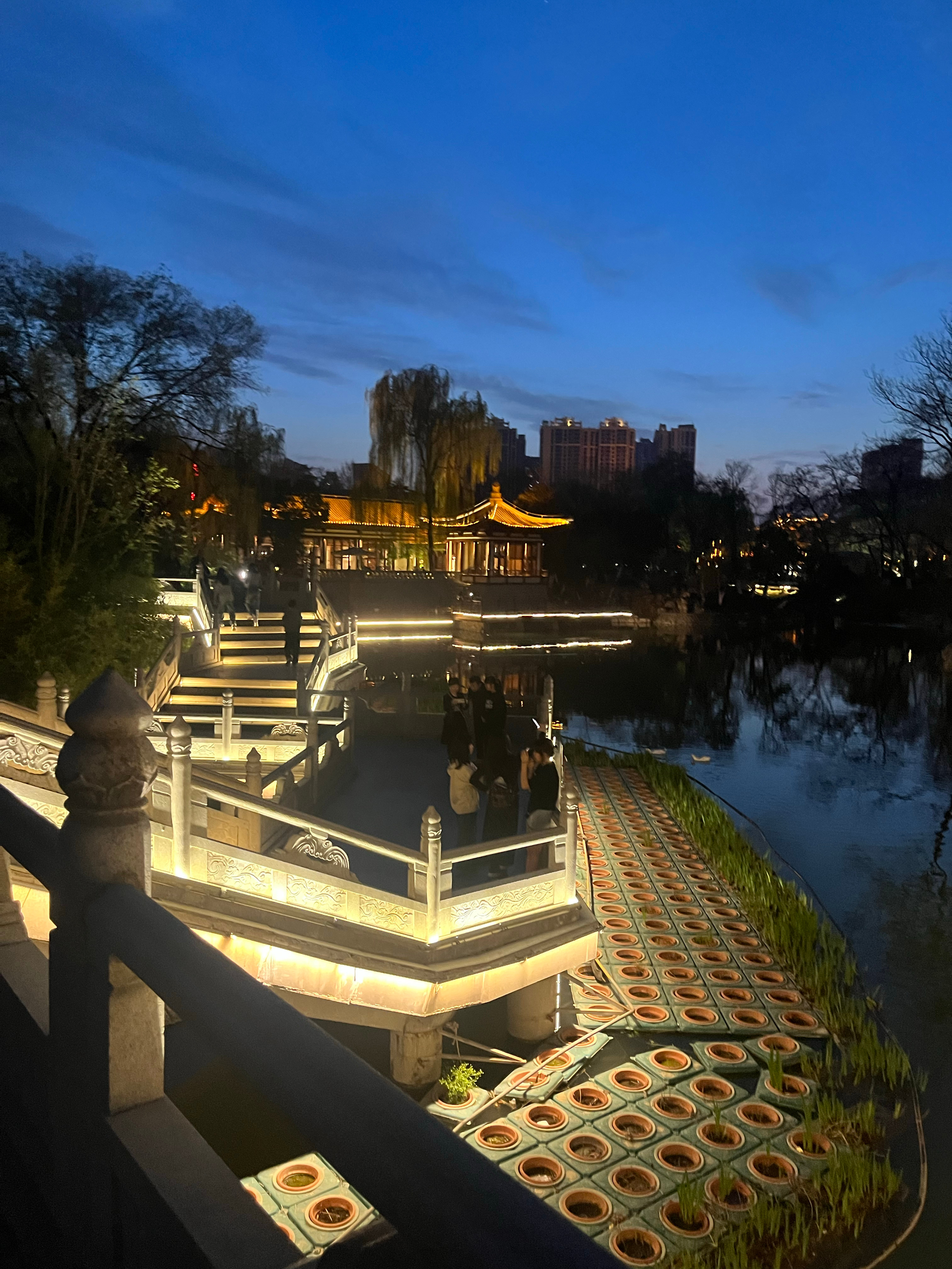 晚上来公园溜达溜达 嘿嘿[揣手][开学季][开学季] ​​​