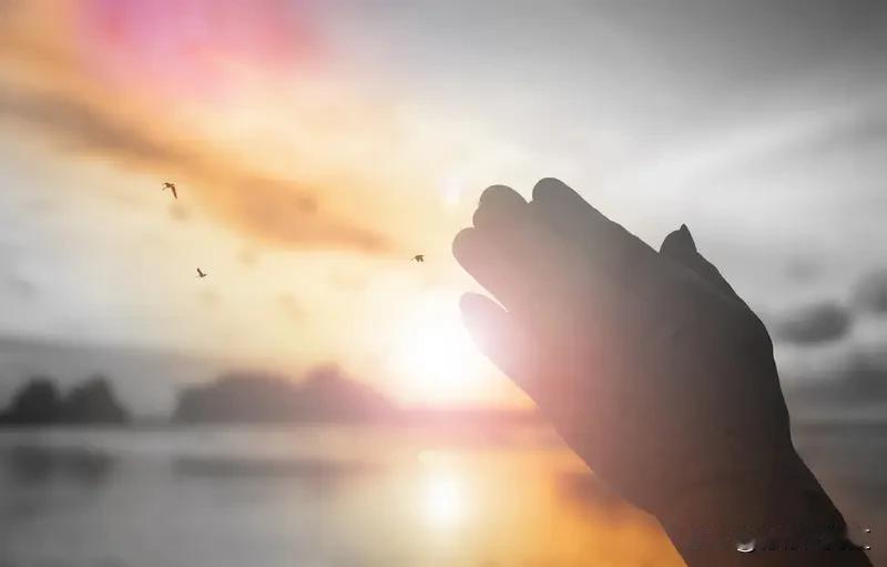 一个人是否要有一个信仰，这是个值得探讨的问题。信仰并非只局限于宗教，它可以是一种