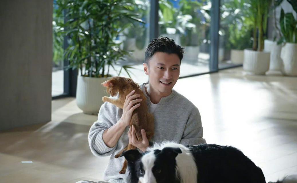 谢霆锋在深圳演唱会上，听说了七只狗狗走了17公里找回家的故事，当场就决定把他那支