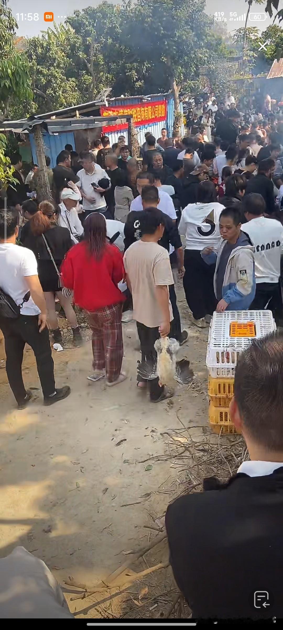 东莞千人疯抢免费窑鸡！拔毛现场堪比春运
 
今天被东莞大岭山这个“千人窑鸡宴”震