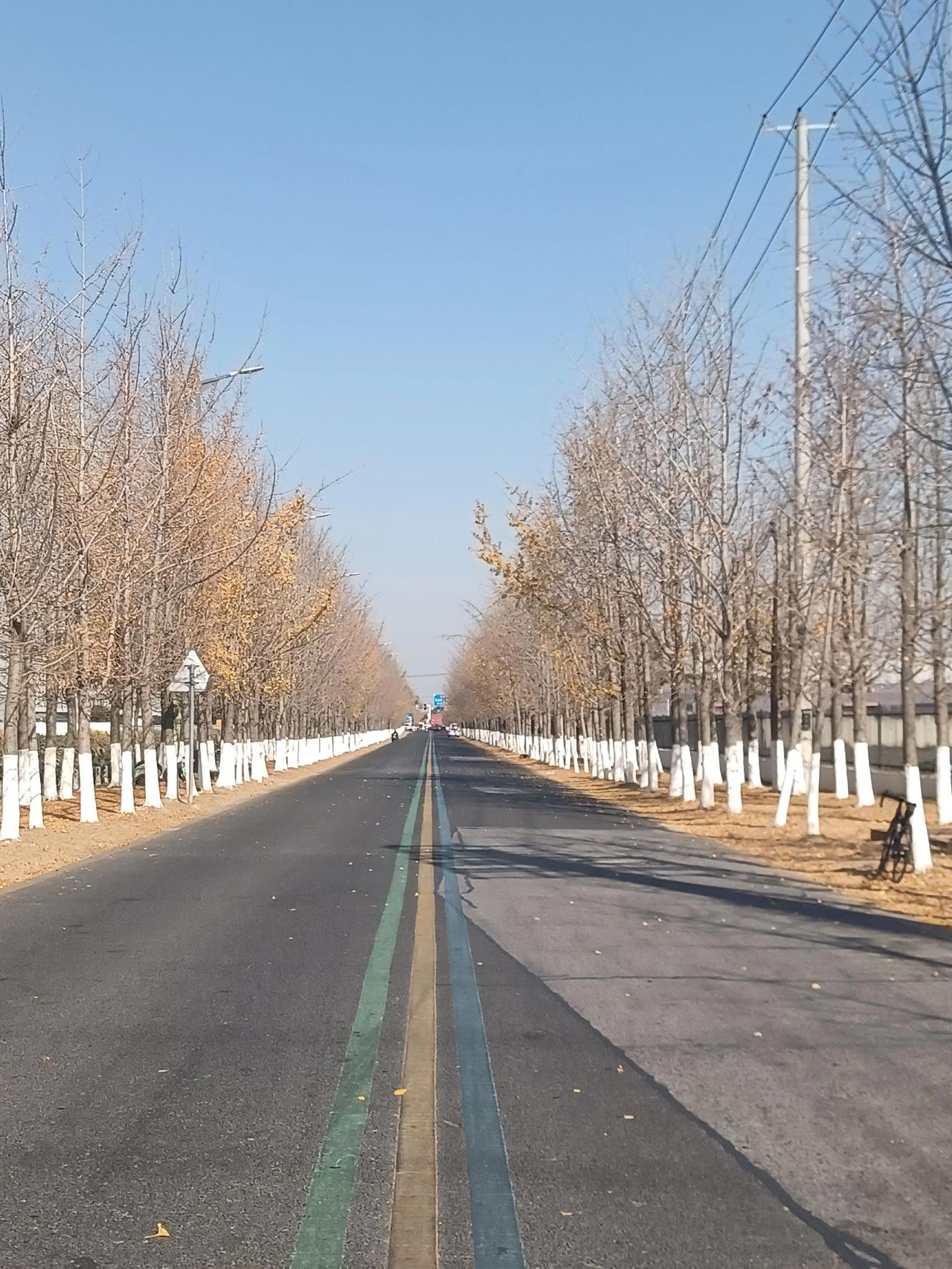 骑行 骑行日常 记录我的骑行生活