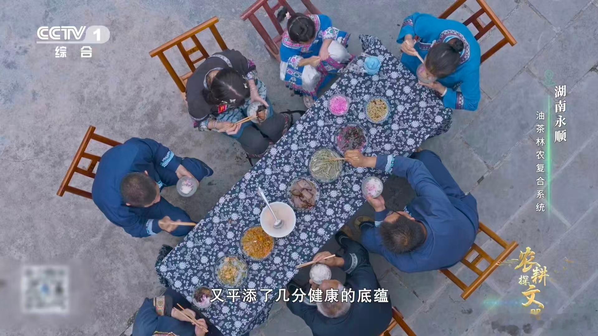 植物界有自己的全能选手 湖南能坐稳油茶产业全国首位的位置，不是没有原因的，从种植