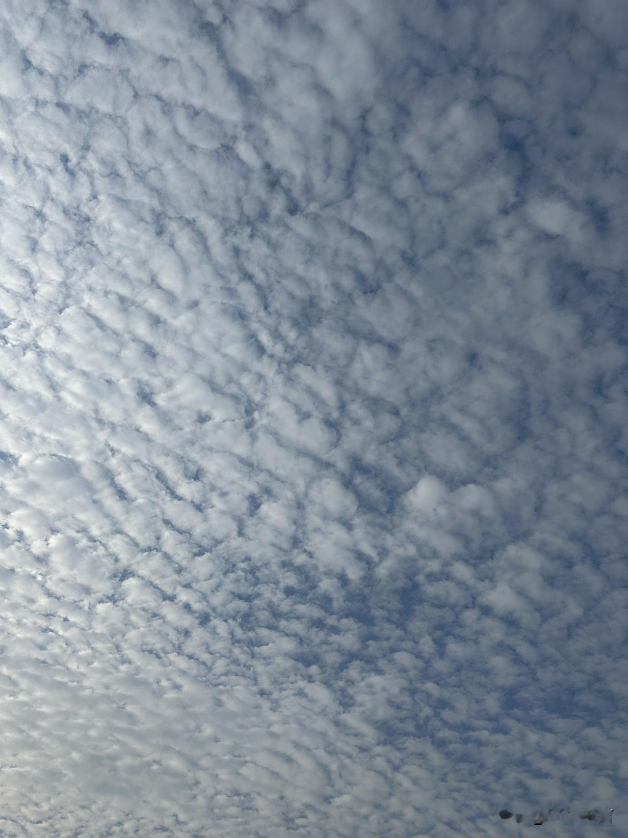 今日分享随手拍照片随手拍的天空，没有滤镜也自带温柔，今天的云是棉花糖味的呀。