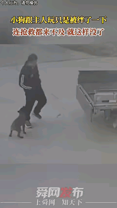 这个男子好像也没有使太大的力啊，只是轻轻的一抬腿，这只狗瞬间就不动了，感觉好像已