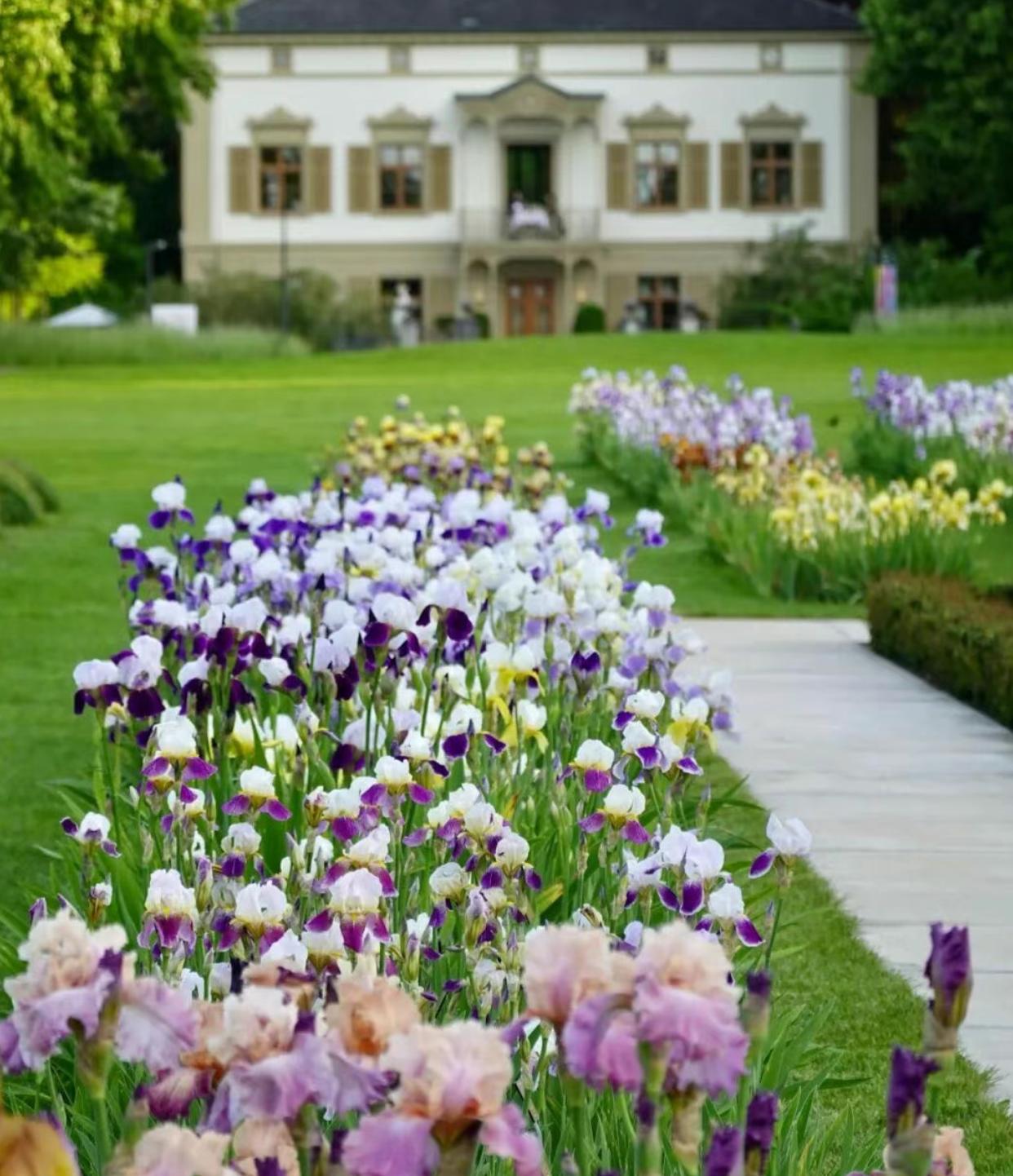 等了一年！粤港澳大湾区最美花海，终于要来了！

深圳人的春日DNA狠狠动了！20
