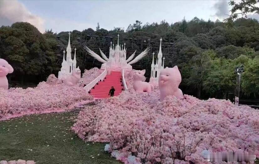 #疑似黄子韬求婚现场布置#窝趣求婚现场图都出来了，还用鲜花做成徐艺洋宠物的颜值，