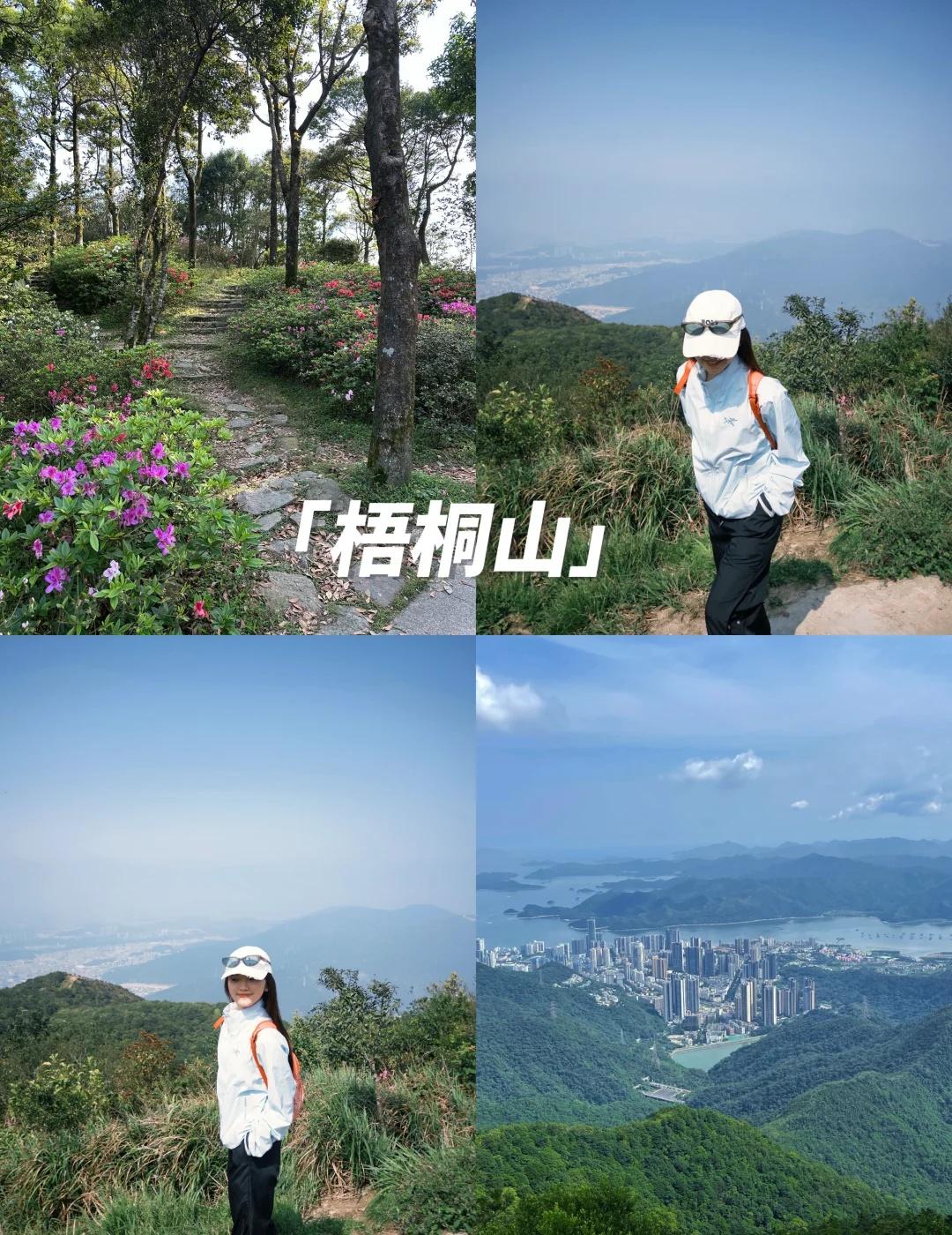 梧桐山新手版🌸|秀桐上凌云下 12km
[赞]周末挑战了梧桐山“最快登顶+最陡