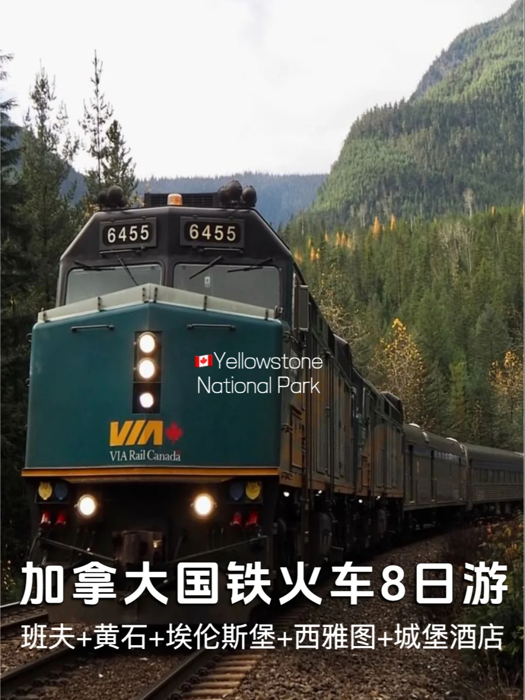 🚂温哥华..加拿大观景火车穿越落基山8日