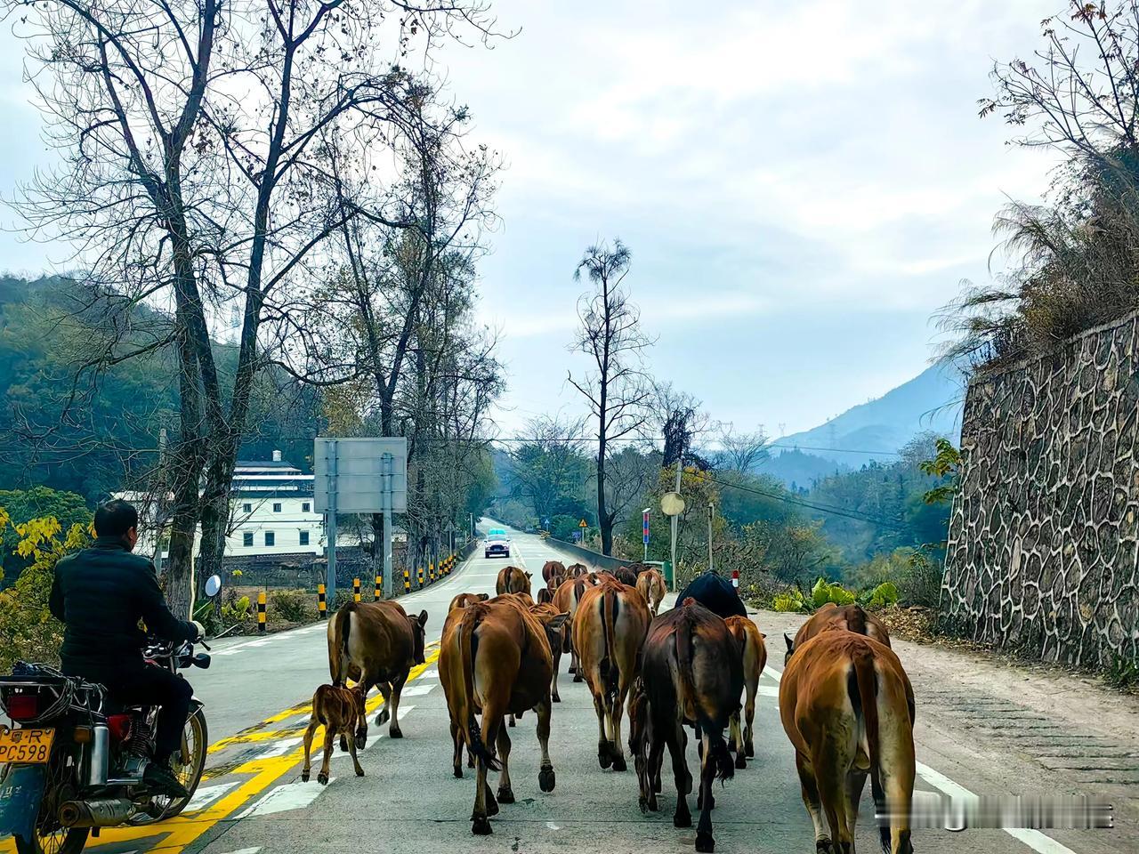 离开老鼠夹古道后，又马不停蹄地赶去石坑崆。
石坑崆俗称的广东第一峰，位于南岭国家