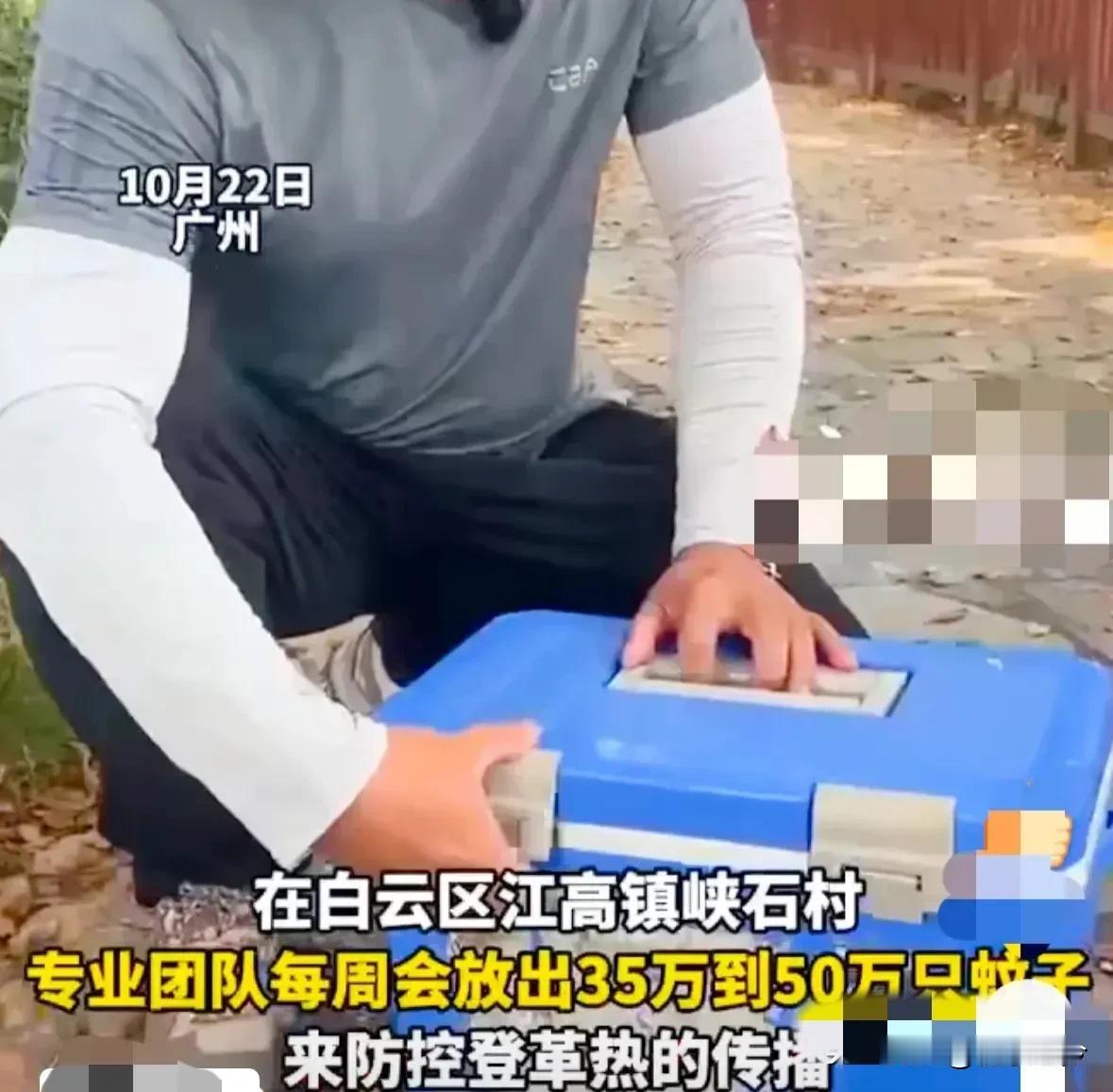 昔有“重金求子”骗局，今有“重金绝种”奇招。广州还是太超前了！一招“以蚊治蚊”，