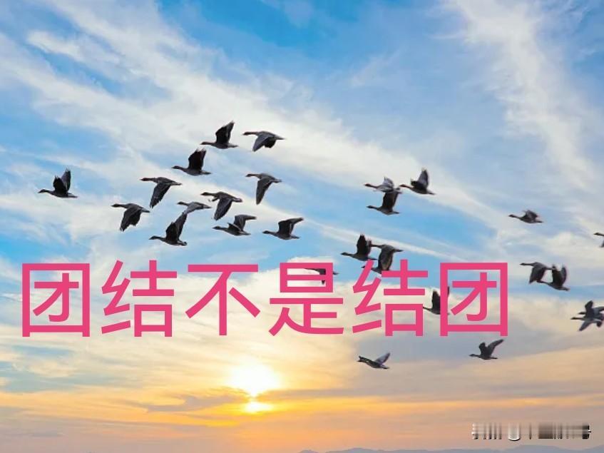 “地域黑”本质就是吹灭别人发展的灯。
最近头条和抖音，比较多的是洛阳与西安、韩城