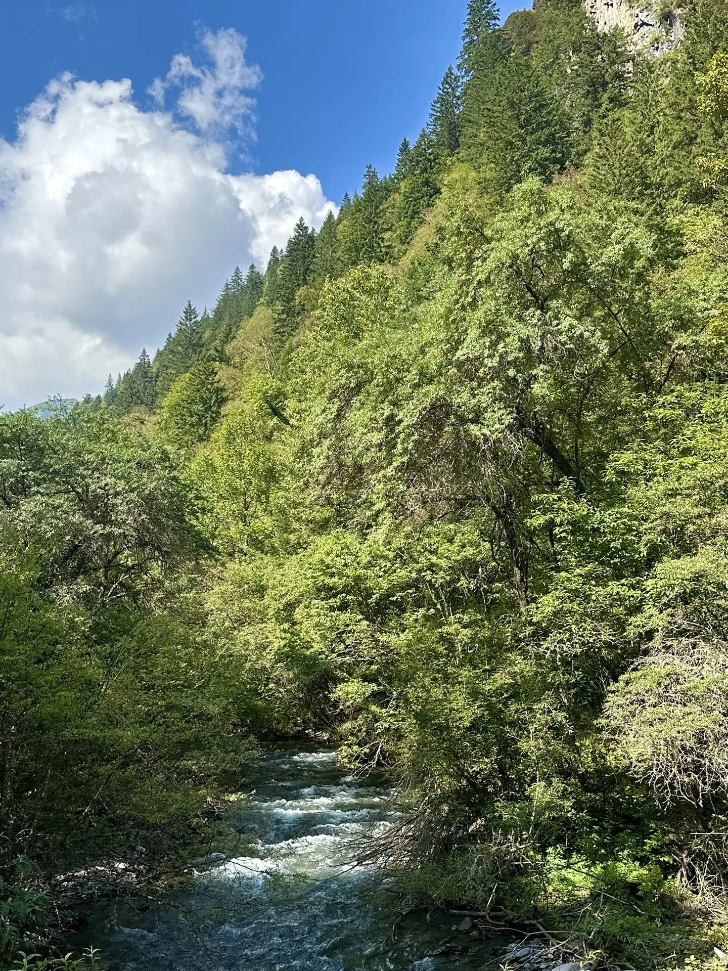 山山而川，征途漫漫 🏔️