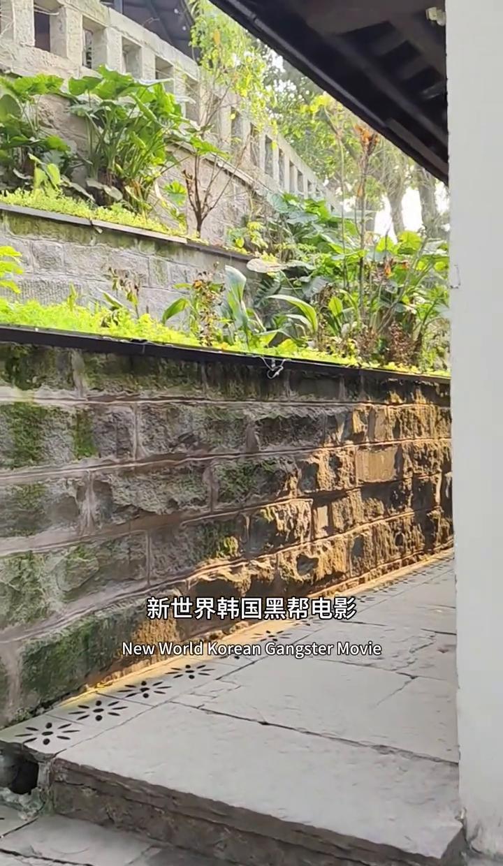 韩国人翻拍《无间道》，却拍出了让原版警察都后背发凉的故事。
2013年的《新世界