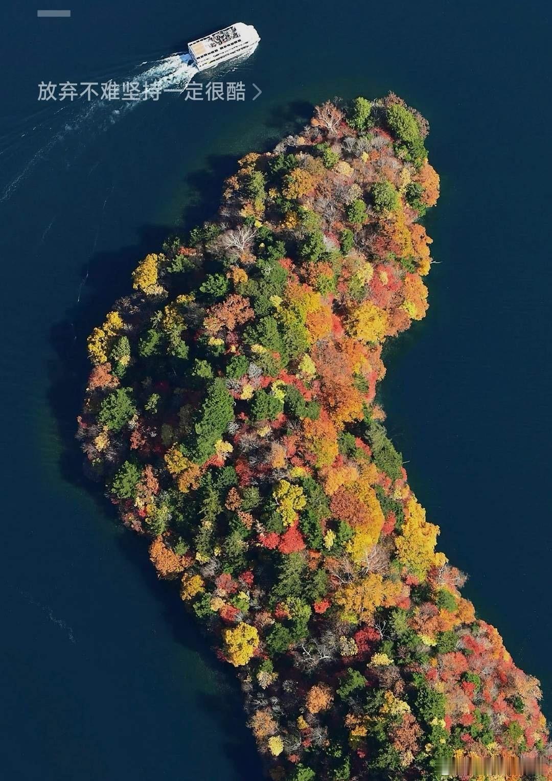 【十一月：操作风格特色】基本主题：稳健中抓牛妖。战斗方式：①每天进出1至2票，进