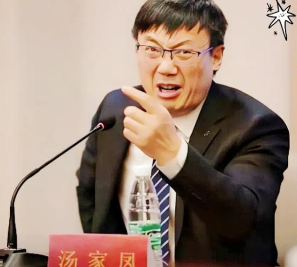 汤家凤终于捅破了窗户纸：美院的境外资助，该公布了！

汤家凤发了条动态，比以往任