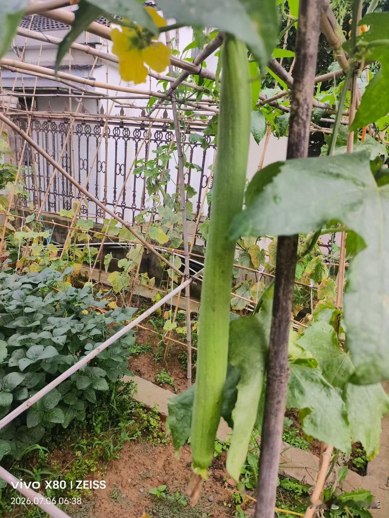 最近的天气实在捉摸不透，一边骄阳高悬，转瞬又是倾盆大雨轮番上场。阴晴反复交替，着