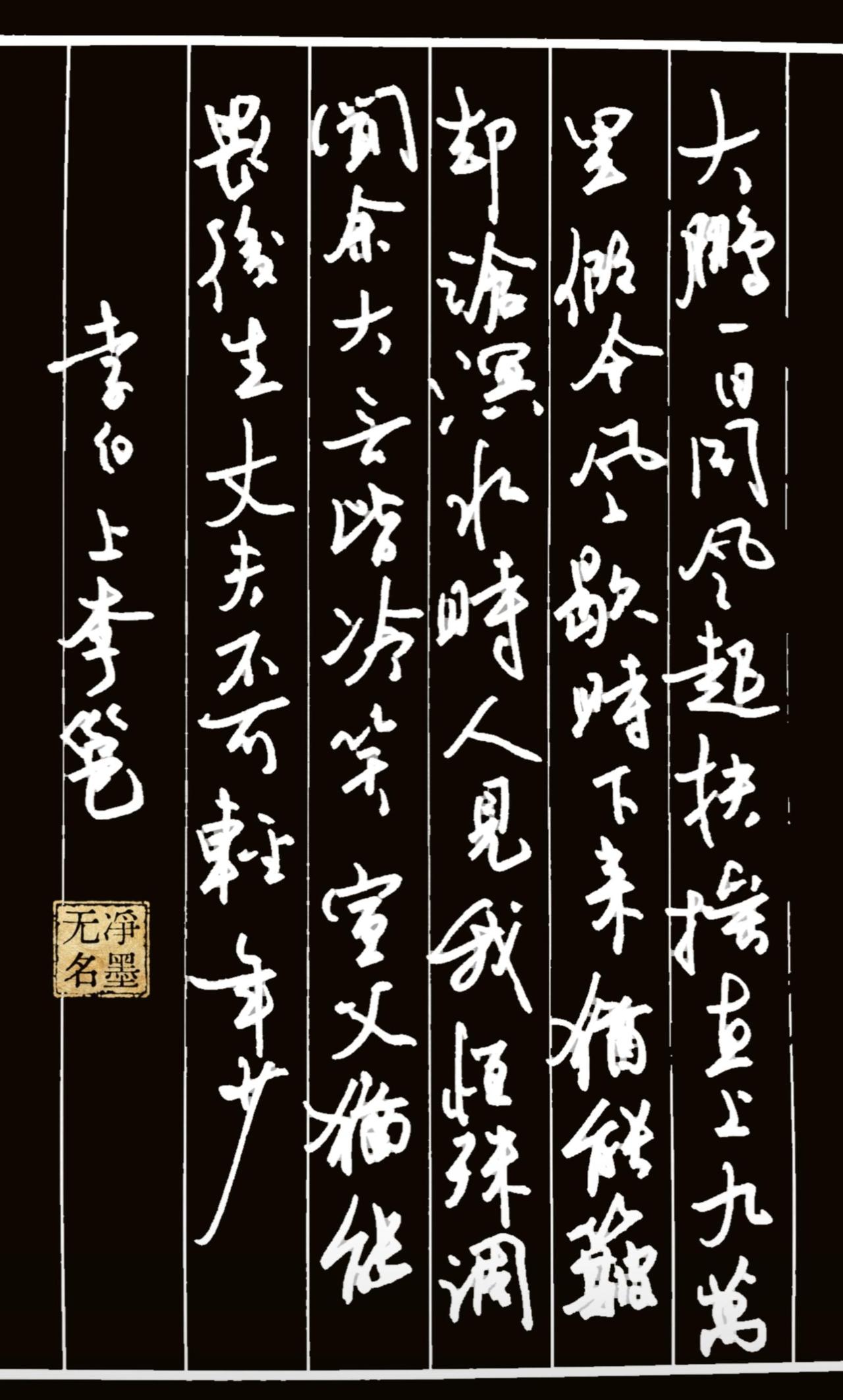📜 作品整体解析
硬笔书写李白的《上李邕》
整体气息流畅洒脱，和诗里那种少年意