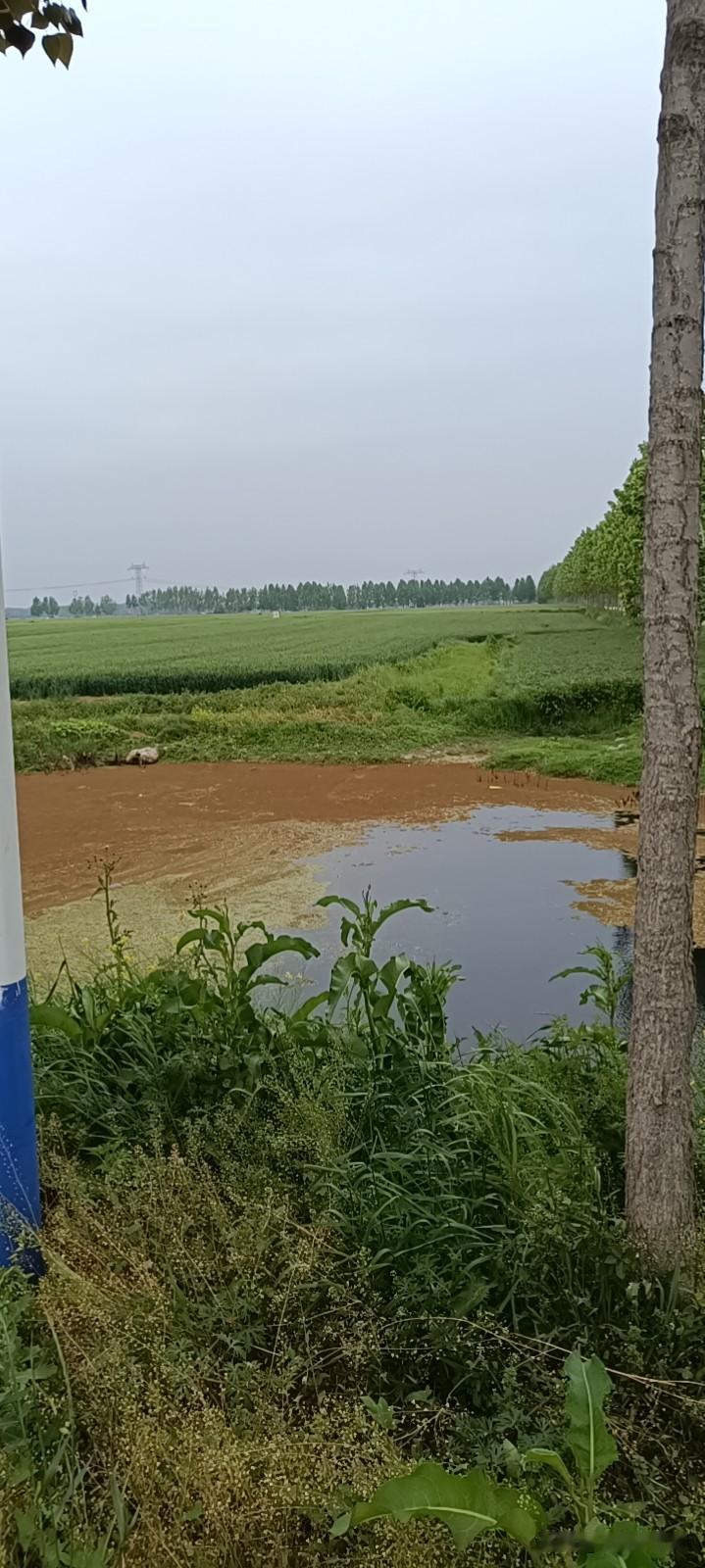 其实我老公是一个非常强势的男人，但是他娶了一个温柔贤惠的女人[笑]。偶尔跟我发生