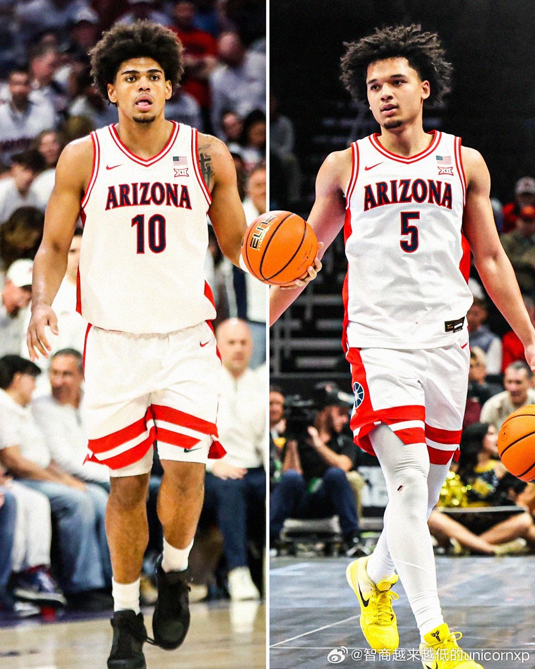 野猫双枪都有机会在首轮被选中NCAANBA