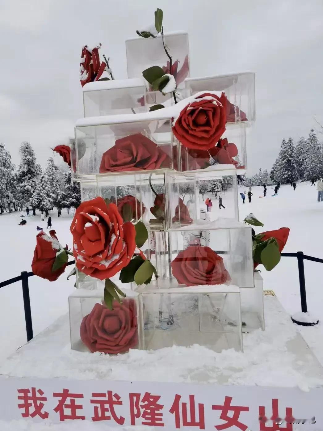 重庆仙女山“又双叒”下雪了，整个世界变得温柔了起来！

1月14日，武隆仙女山景