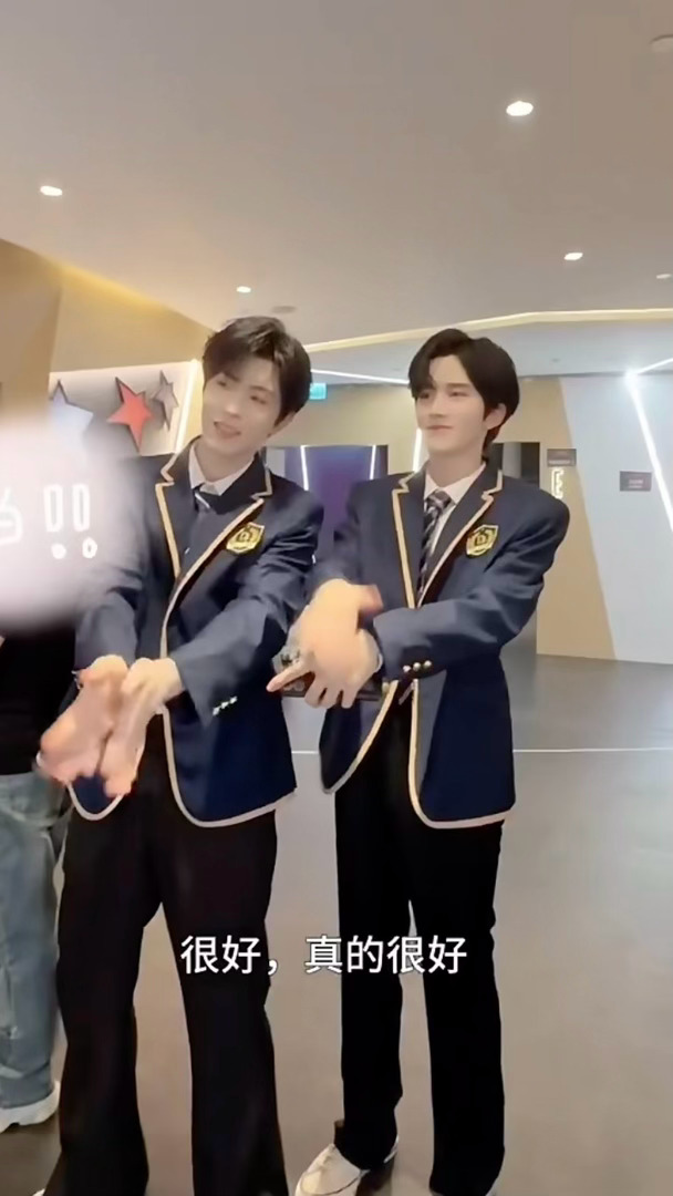 两只海豹 