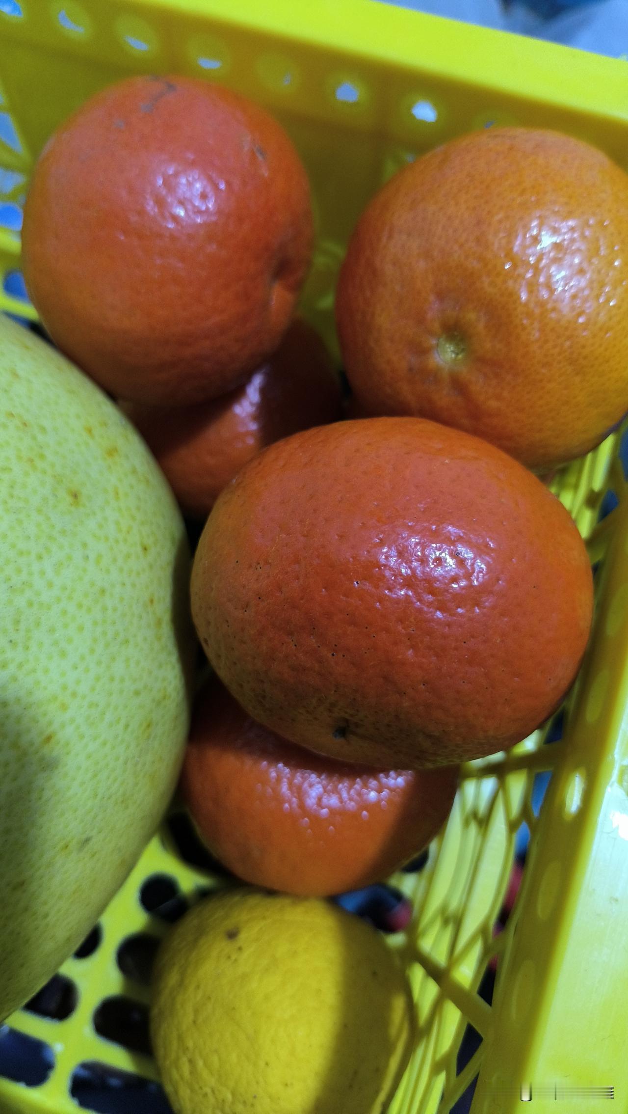 这么多红美人，到底哪一种是真的？最便宜的只要几块钱，最贵的一盒上百。红美人水果