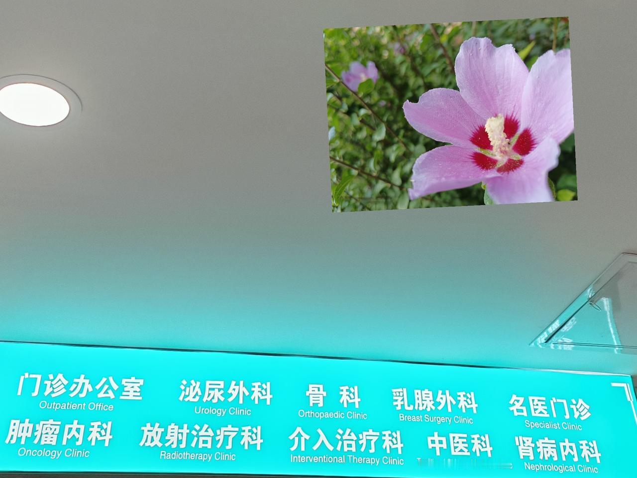 我是确诊两年多的肺腺癌晚期患者。今日到医院取奥西替尼靶向药，偶遇一位五十出头的同