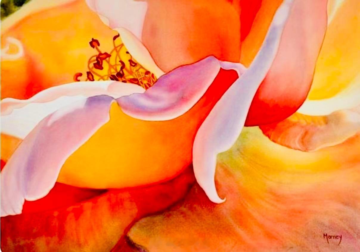 加拿大水彩画家Marney Ward的花卉作品：遇见艺术遇见美好绘画