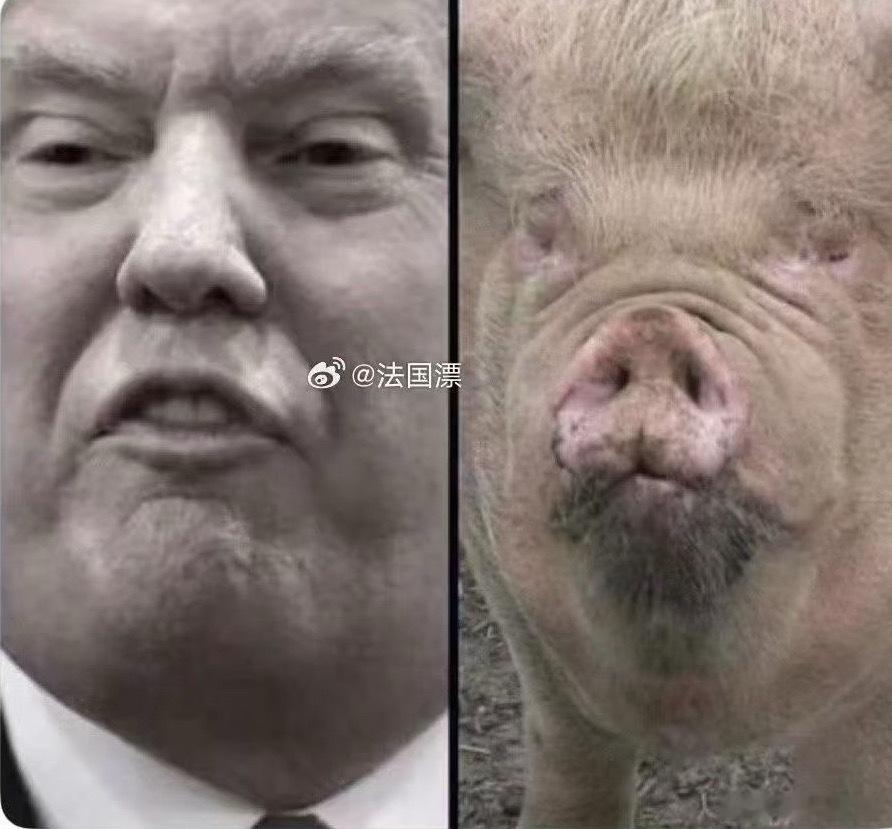 如果说这一年的美国有什么正面意义，就是彻底击碎了两百多年宪政模范的童话，让我们得