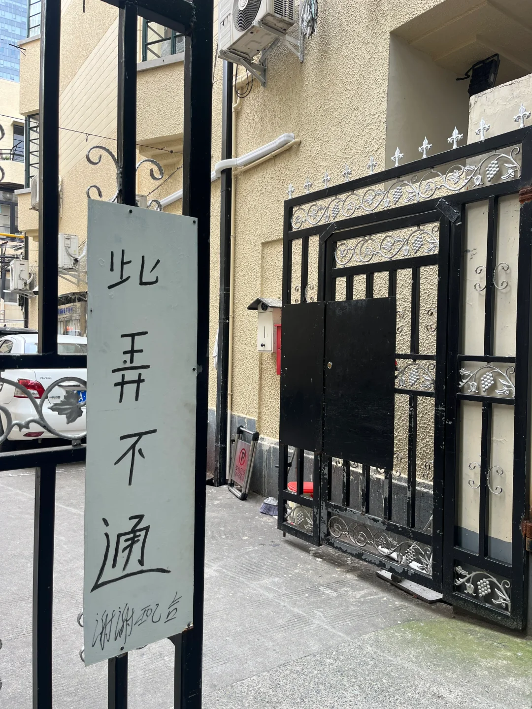 上海  连小狗都这么惬意