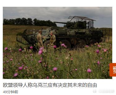 【欧盟领导人称乌克兰应有决定其未来的自由】[除了拼命，有什么事情是由乌克兰说了算