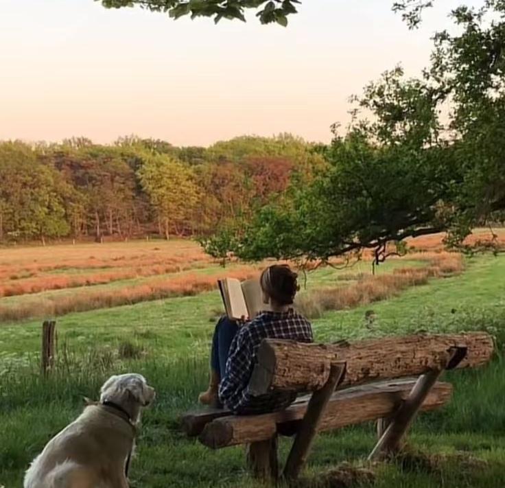 在北京的第九年，女儿的年薪已经到了五十万。可这份收入的背后，是数不清的凌晨：写字