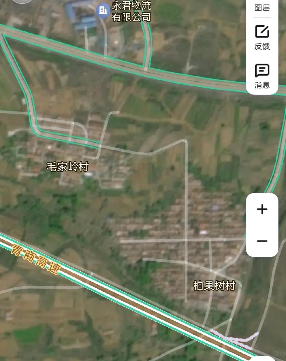 柏果树村位于青岛胶州市三里河街道办事处南部，距办事处驻地5公里，东邻九龙街道办事