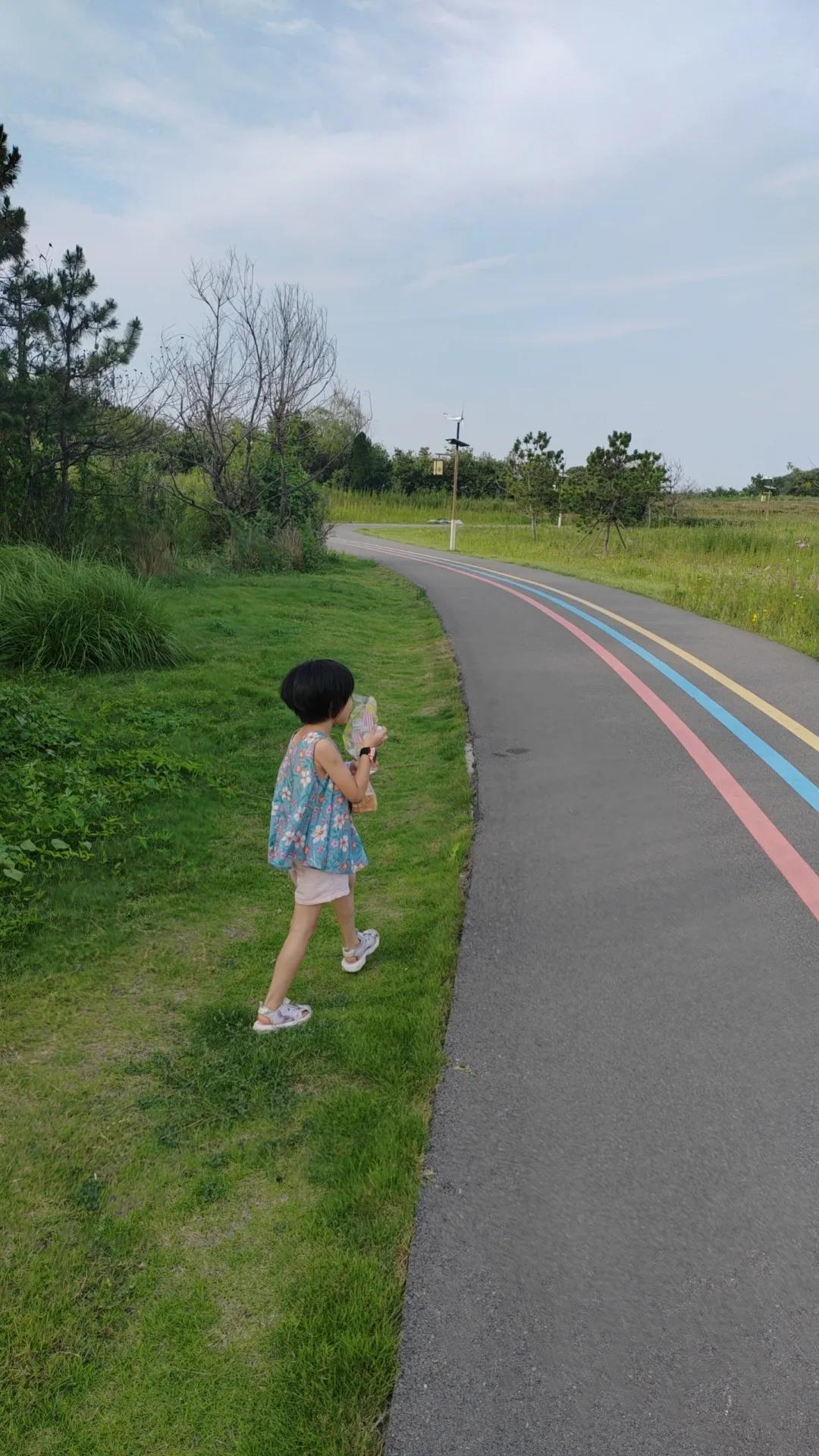 彩色的路