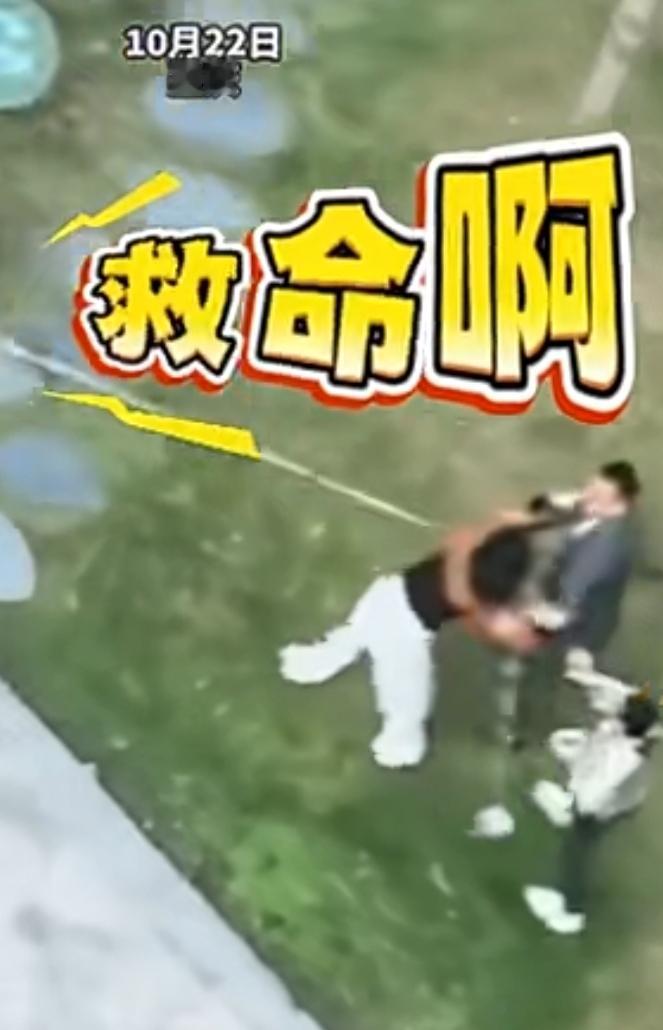 重庆一女子牵绳遛狗吓到小孩被男子殴打，网友一看这绳子起码十米以上。事发地是重庆照
